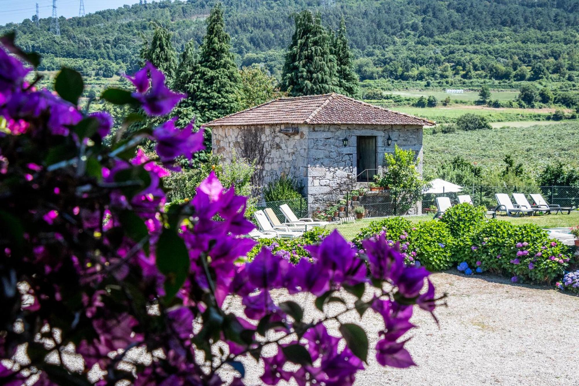 Quinta De S.Vicente Hotel Geraz do Minho Buitenkant foto